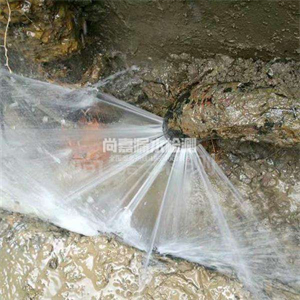 下谷坪土家族乡消防管道漏水检测